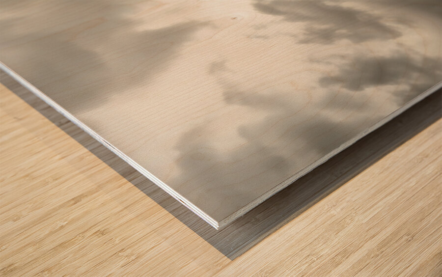 Stormwatch – Sunflower Under Clouded Sky Print Wood print