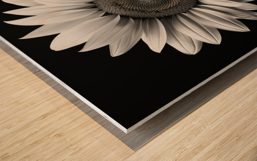 Twin Souls – Monochrome Sunflower Pair Print Wood print