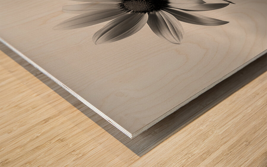 Solitary Grace – Monochrome Sunflower Portrait Print Wood print