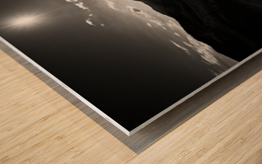 Moonlit Bloom – Night Flower Monochrome Print Wood print