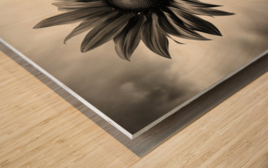 Standing Tall – Sunflower Monochrome Landscape Print Wood print