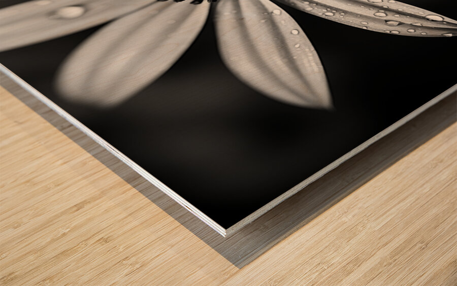 Shadow Petals – Monochrome Floral Elegance Print Wood print