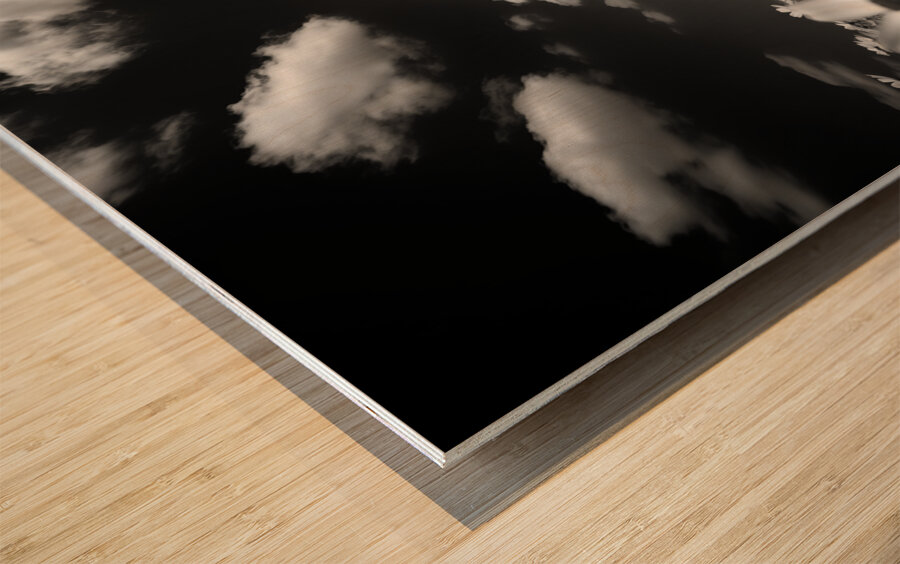 Whispers of the Sky – Monochrome Daisy Field Print Wood print