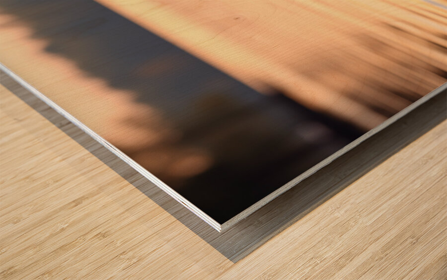 Golden Hour Bloom – Warm Sepia Sunflower Landscape Print Wood print