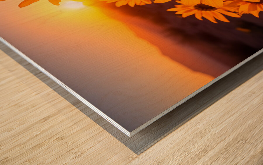 Sunset Sunflowers – Golden Hour Botanical Art Print Wood print