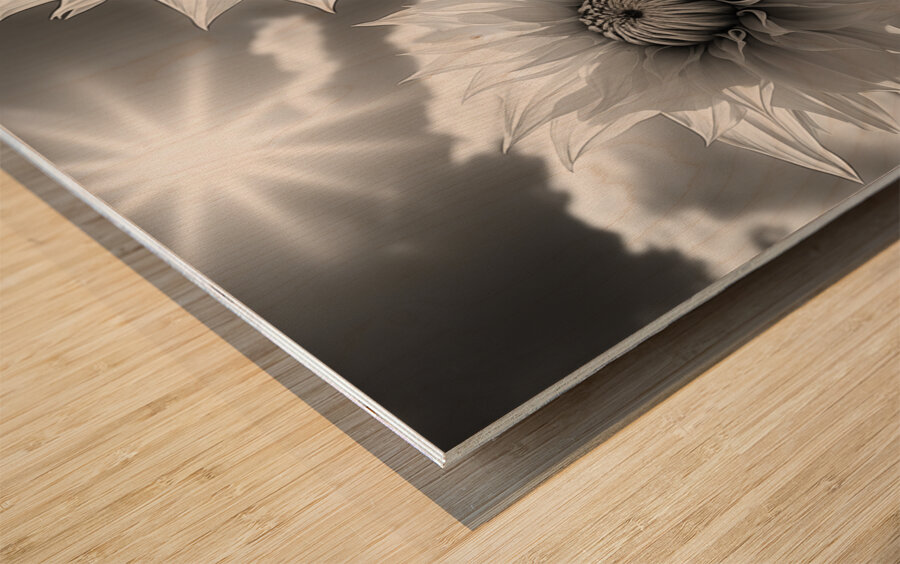 Silver Petals – Black & White Daisy Art Print Wood print