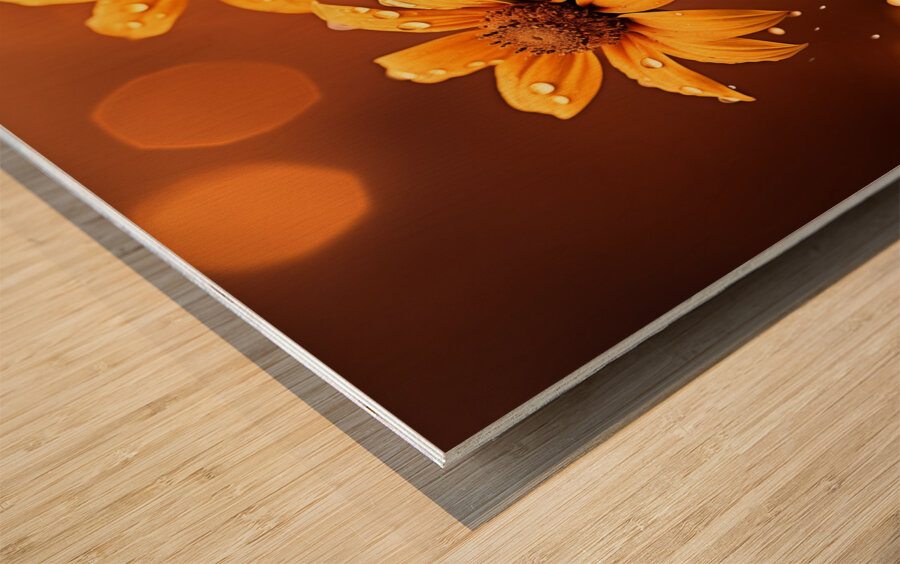 Golden Hour Daisies – Warm Botanical Art Print Wood print