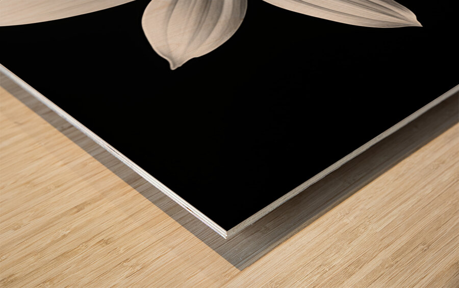 Obsidian Bloom II – Minimal Floral Print Wood print