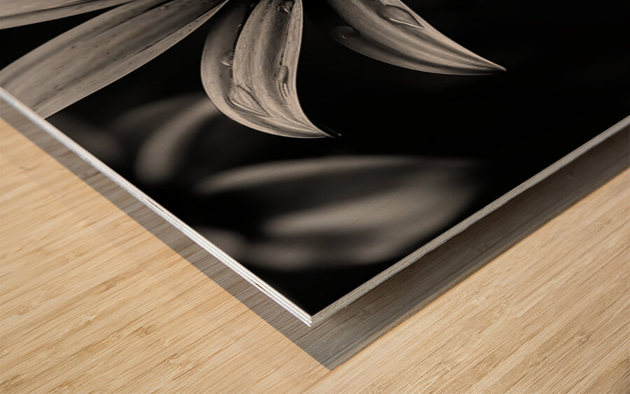Obsidian Bloom I – Graphic Floral Print Wood print