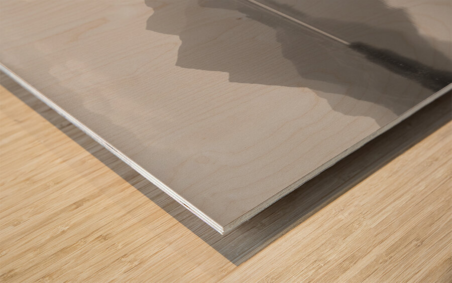 Desert Sunflower – Stormfront Monochrome Landscape Print Wood print