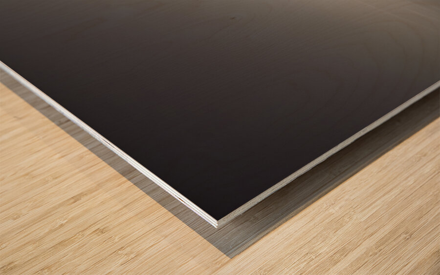 Lone Acacia – Minimalist Tree Landscape Print Wood print