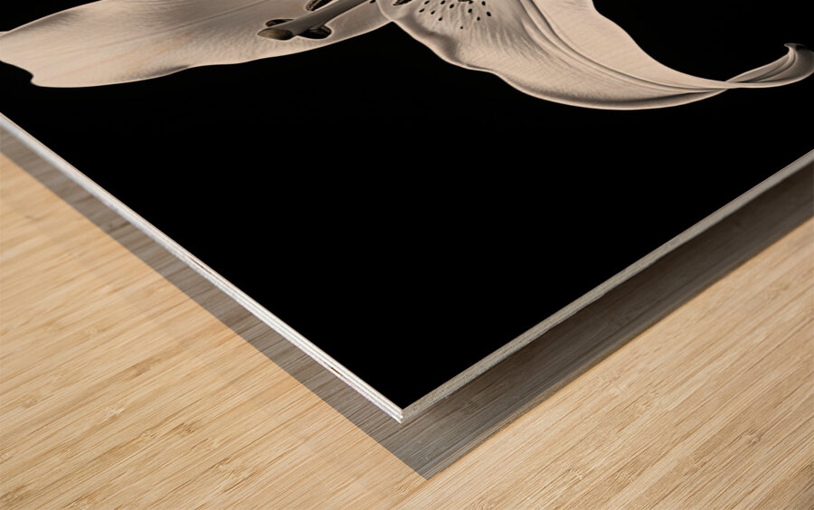 Golden Meadow by the Lake – Wildflower Panorama Print Impression sur bois