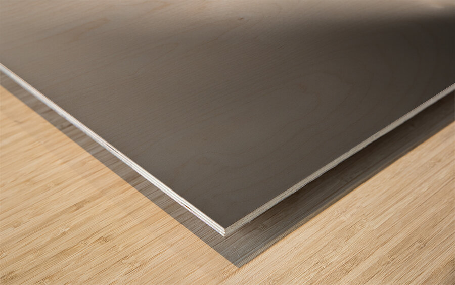 Vortex of Foam – Black & White Wave Print Wood print