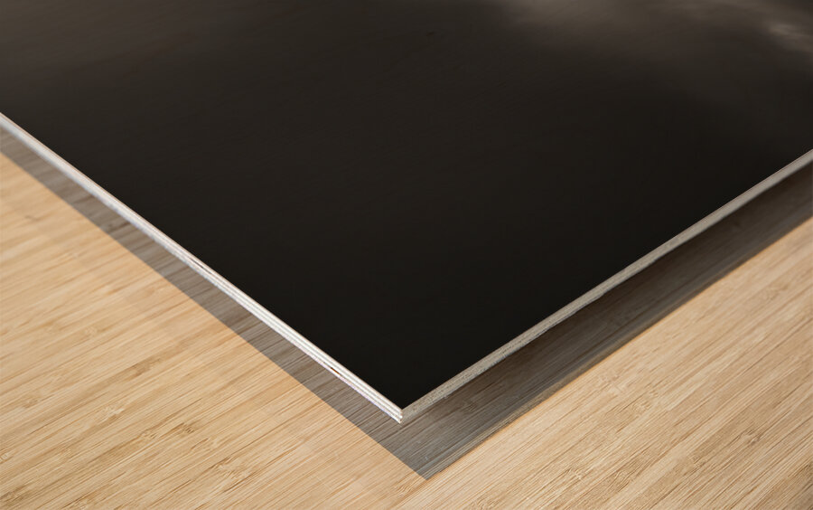 Gale Crest – Monochrome Seascape Panorama Print Wood print