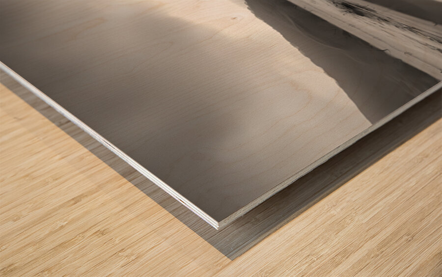 Reflection Tree – Landscape in Black & White Print Wood print