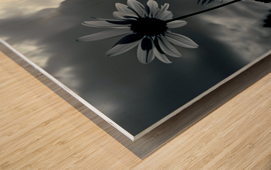 Harmony in Bloom – Soft Focus Botanical Print Wood print