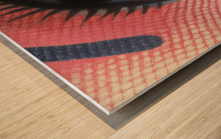 iBallin – Pop Art Print Impression sur bois