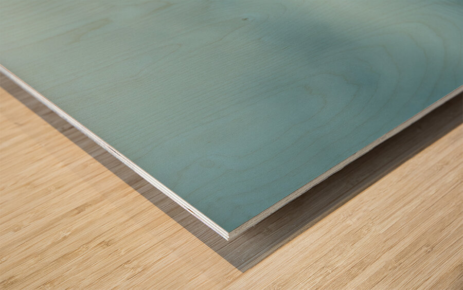 Together at the Shore – Moody Minimalist Couple Photography Print Wood print