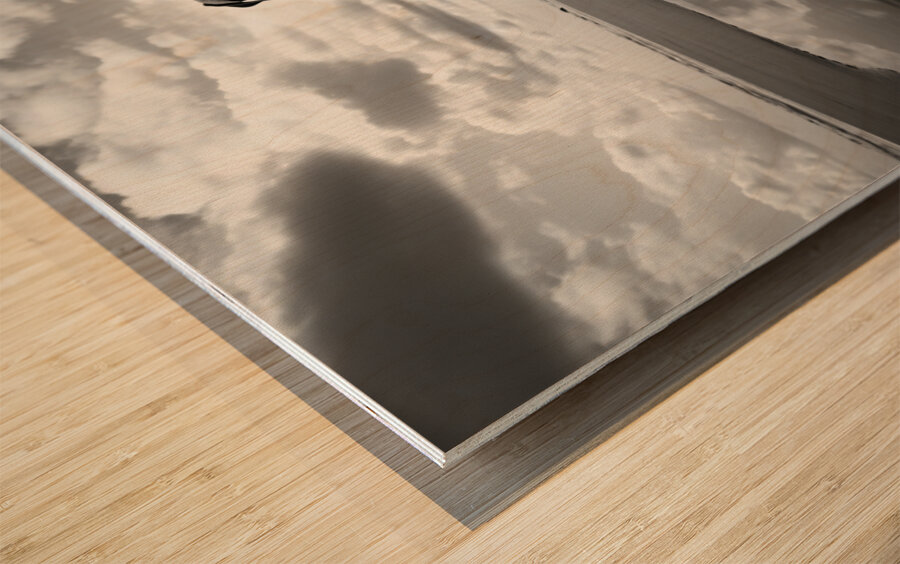 Lost in My Eyes – Monochrome Coastal Dog Photography Print Wood print