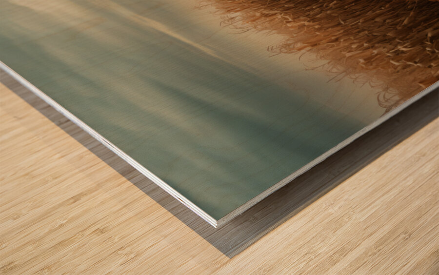 Forgotten – Rustic Autumn Path Landscape Art Print Impression sur bois