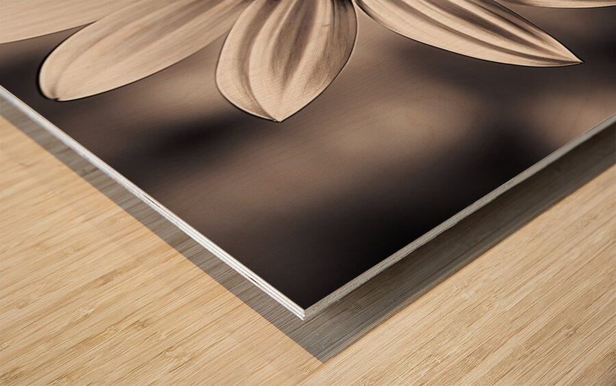 Opulent – Monochrome Daisy Medallion Art Print Wood print