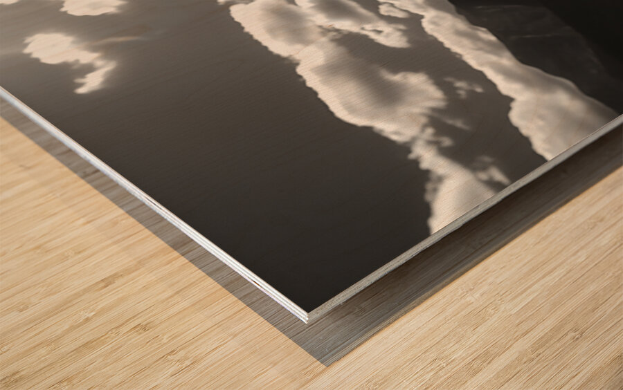 Bloomscape – Wide Field Floral Monochrome Art Print Wood print