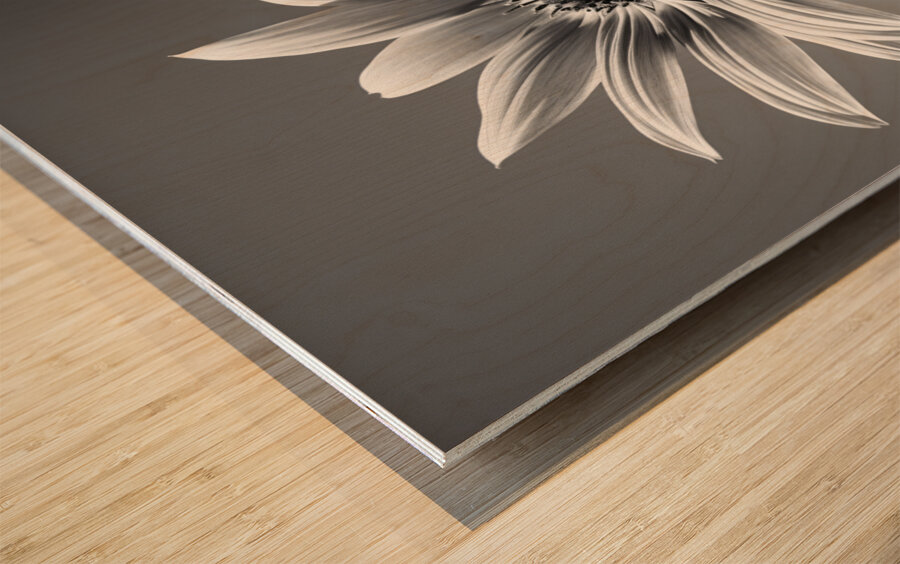 Vitamin D - Black & White Sunflower Art Print Wood print