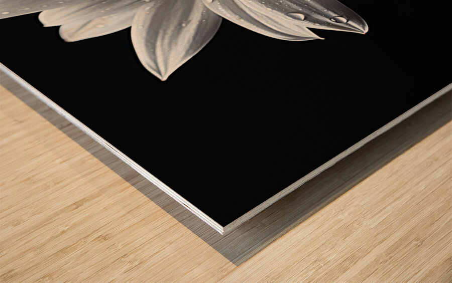 Majestic Macro – Monochrome Sunflower Close-Up Art Print Wood print