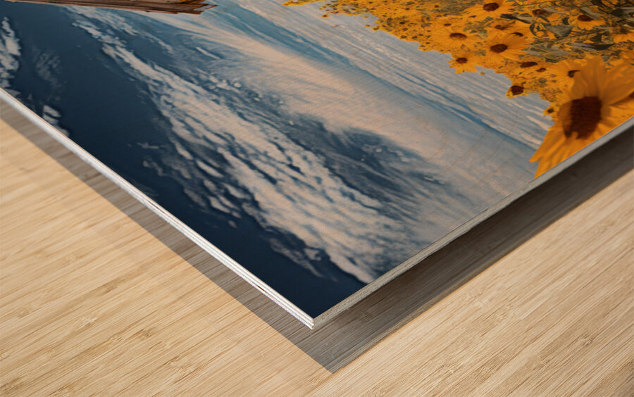 Shed - Sunflower Field Cottage Art Prints Wood print