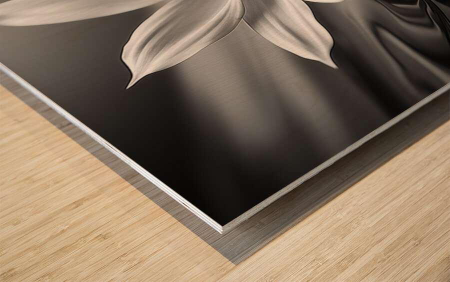 Eclipsed in Bloom – Monochrome Floral Art Print Wood print