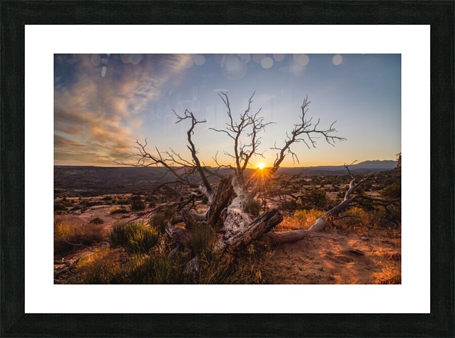 Reaching for Life Picture Frame print