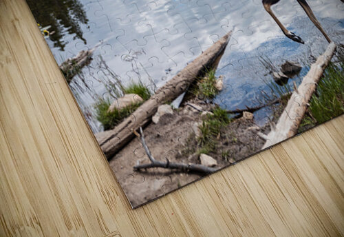 Afternoon Stroll Shizen Scapes puzzle