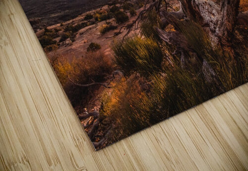 Reaching for Life Shizen Scapes puzzle