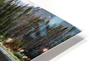 Afternoon Stroll HD Metal print