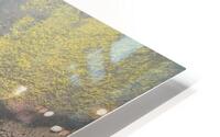 A Misty Latourell HD Metal print