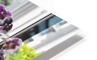 Orchid Ave HD Metal print
