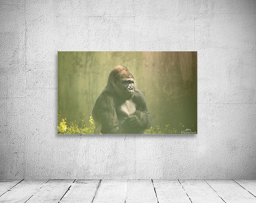 Ethereal Gorilla Wall Preview