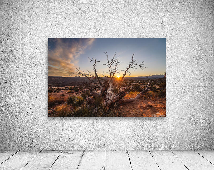 Reaching for Life Wall Preview