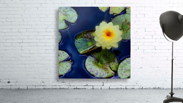 Ethereal Lily Wall Preview