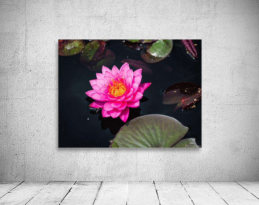 Vibrant Lily Wall Preview
