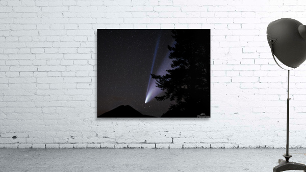Neowise  Wall Preview
