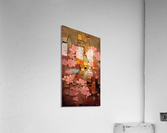 Sakura - III Acrylic Print