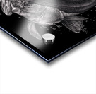 Silver Snook  Impression Acrylique