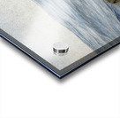 DFriel - Christinas Whale Impression Acrylique