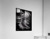 Silver Snook  Impression acrylique