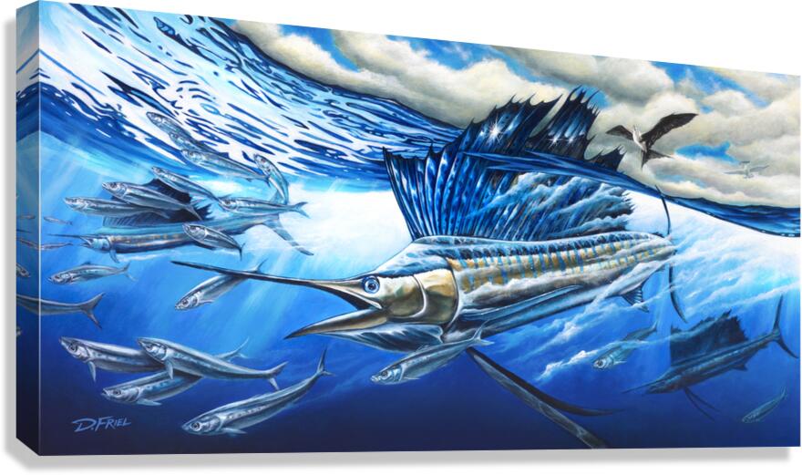  Atlantic Harmony Sailfish 1