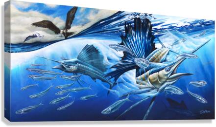  Atlantic Harmony Sailfish 2