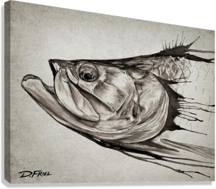 Black Ink Tarpon