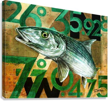 DFriel - Bonefish Coordinates