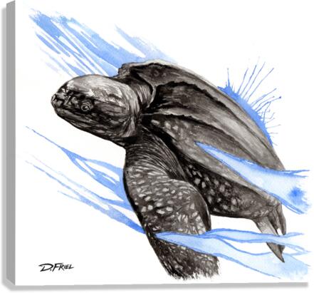 DFriel Leatherback
